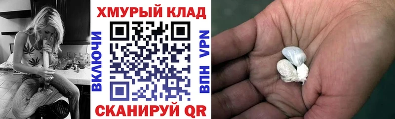 где купить наркотик  MEGA сайт  Героин герыч  Сегежа 