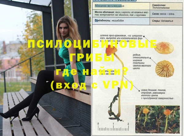 герыч Балахна